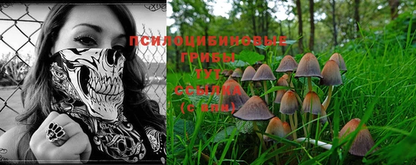 скорость Козловка