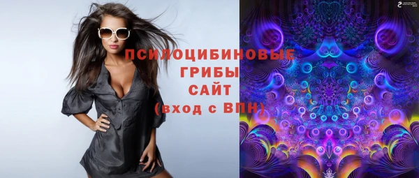 скорость Козловка